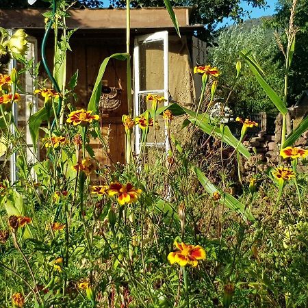 Le Jardin Des Gouttes Bed & Breakfast Rougegoutte Dış mekan fotoğraf