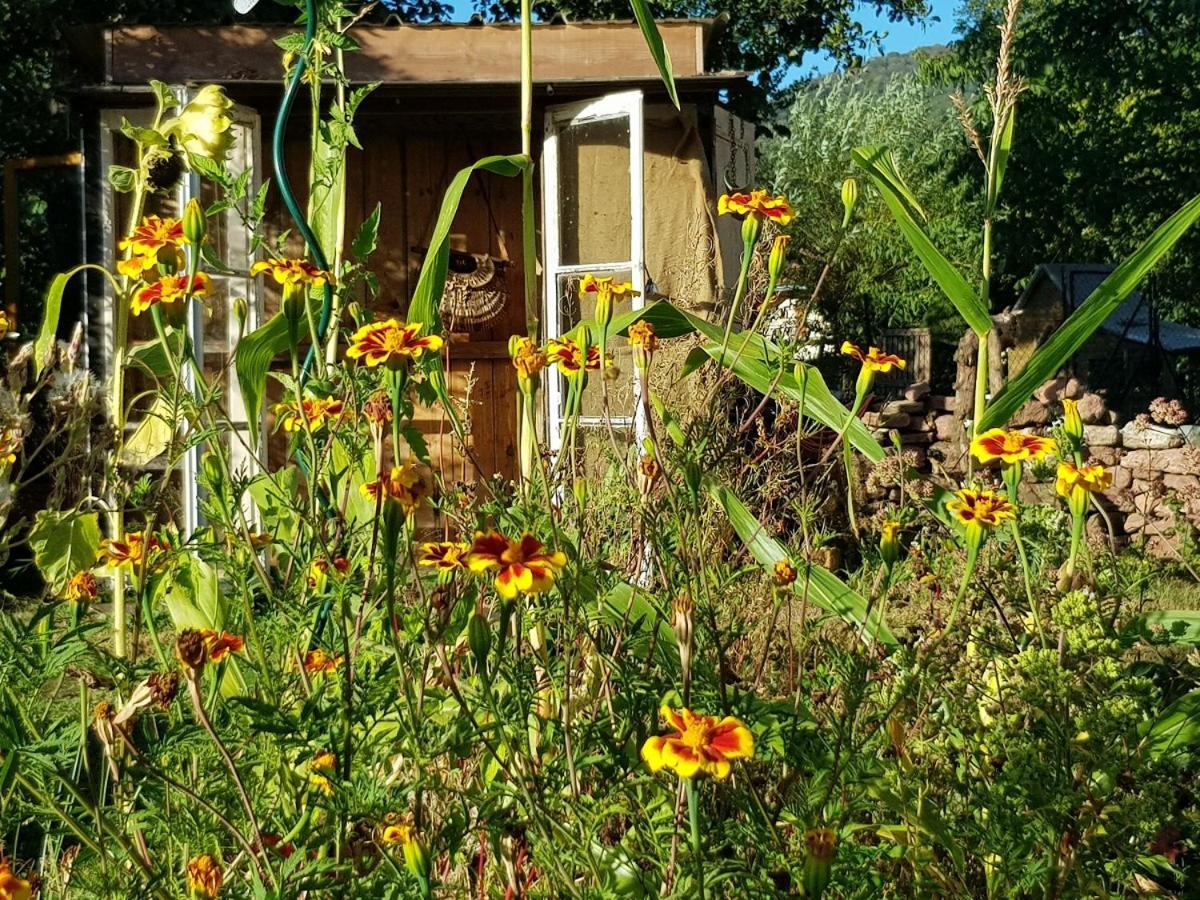 Le Jardin Des Gouttes Bed & Breakfast Rougegoutte Dış mekan fotoğraf