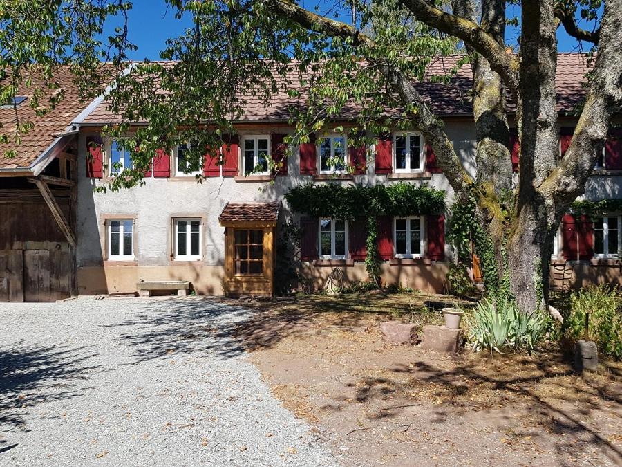 Le Jardin Des Gouttes Bed & Breakfast Rougegoutte Dış mekan fotoğraf